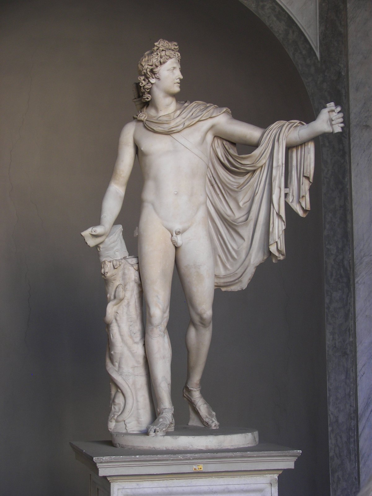 Der Apoll vom Belvedere – Skulptur, Hauptansicht